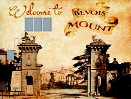 Bevois Mount Logo